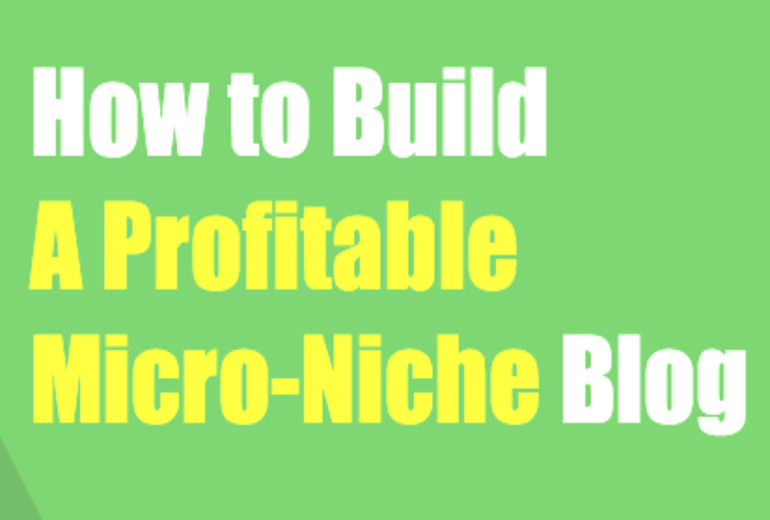 Micro Niche Blog